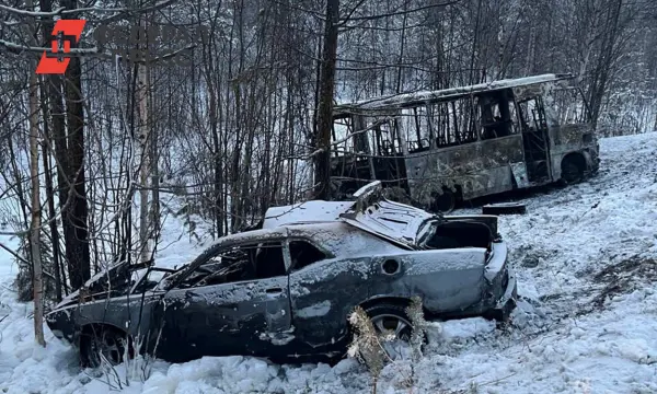Спецслужбы Ямала расследуют последствия ДТП с участием автобуса ПАЗ и Dodge-0
