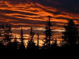 Удивительные истории Красноярского края о тайге, Усольцевых и загадках Байкита udivitelnye istorii krasnoyarskogo kraya o tajge usolczevyh i zagadkah bajkita-tstpp-ru-0