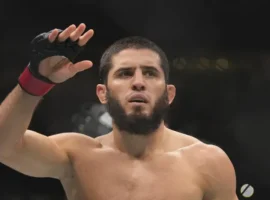 Уверенный прогноз Василевского о победе Махачева над Маддаленой в UFC uverennyj prognoz vasilevskogo o pobede mahacheva nad maddalenoj v -tstpp-ru-0