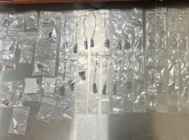 В Домодедово таможенники задержали россиянку с украшениями из Дубая v domodedovo tamozhenniki zaderzhali rossiyanku s ukrasheniyami iz dubaya-tstpp-ru-0