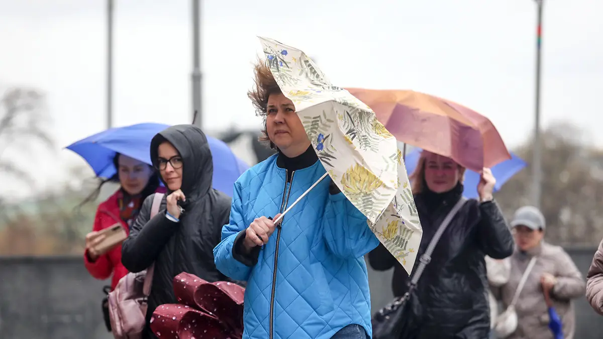 Москвичей предупредили о сильном ветре 14 ноября