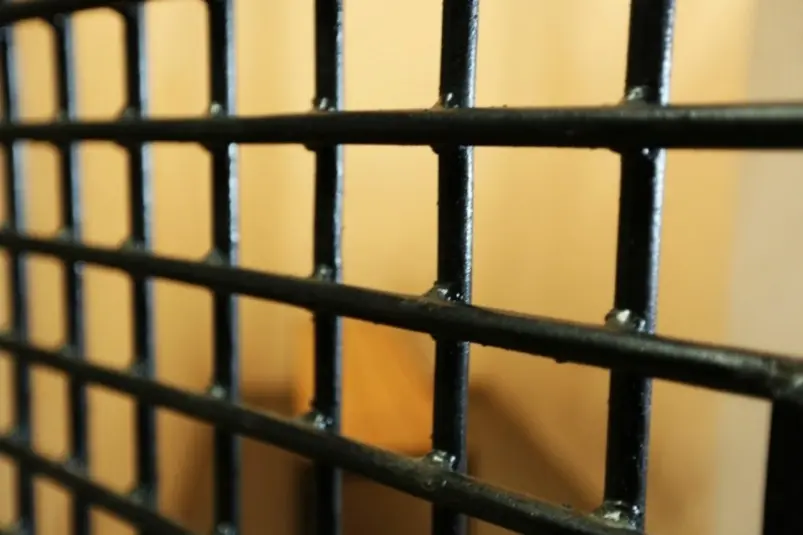 Фото: primamedia.ru