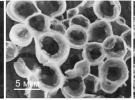 В СПбГУ осуществлен инновационный синтез ваза-подобных микрокапсул при поддержке РНФ v spbgu osushhestvlen innovaczionnyj sintez vazapodobnyh mikrokapsul pri podderzhke rnf-tstpp-ru-0