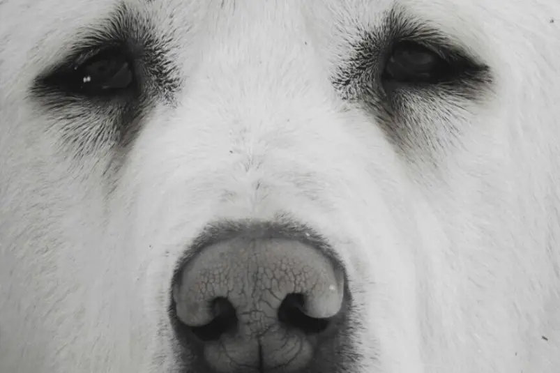 Фото: primamedia.ru