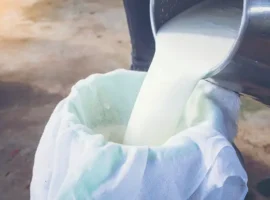 Влияние животноводства на супербактерии, сравнительно со Staphylococcus epidermidis и антибиотиками vliyanie zhivotnovodstva na superbakterii sravnitelno so i antibiotikami-tstpp-ru-0