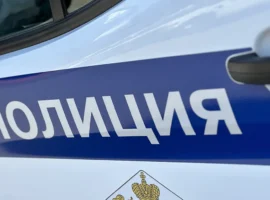 vo vladivostoke zaderzhana erika vladyko posle uspeshnogo spaseniya docheri-tstpp-ru-0