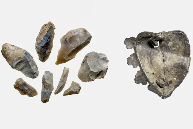 Вводная картинка