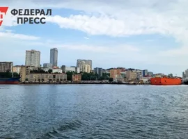 Федеральный бюджет выделил 13 млрд рублей на развитие Приморского края federalnyj byudzhet vydelil 13 mlrd rublej na razvitie primorskogo kraya-tstpp-ru-0