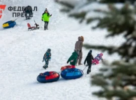 Геннадий Онищенко из Госдумы советует отпраздновать Новый год дома gennadij onishhenko iz gosdumy sovetuet otprazdnovat novyj god doma-tstpp-ru-0