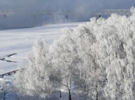 gidrometczentr prognoziruet tepluyu zimu s dekabrskoj pogodoj vyshe normy-tstpp-ru-0