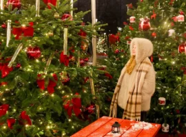 Горьковская Елка и Снежный шар украшает Театральную площадь в Новый год gorkovskaya elka i snezhnyj shar ukrashaet teatralnuyu ploshhad v novyj god-tstpp-ru-0