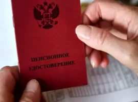 Каплан Панеш и Сергей Миронов разъяснили, как получить повышенную пенсию в 2026 году kaplan panesh i sergej mironov razyasnili kak poluchit povyshennuyu pensiyu v 2026 godu-tstpp-ru-0