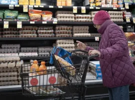 Марина Ершова, Юлия и Илья Варламов сравнивают покупки в Costco, Walmart и Trader Joe's marina ershova yuliya i ilya varlamov sravnivayut pokupki v i -tstpp-ru-0