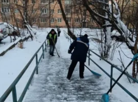 mu zelyonyj vladivostok obespechivaet chistotu i bezopasnost vo vladivostoke-tstpp-ru-0