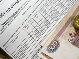 Никита Чаплин о законах, льготах и субсидиях для пенсионеров на оплату ЖКУ nikita chaplin o zakonah lgotah i subsidiyah dlya pensionerov na oplatu zhku-tstpp-ru-0