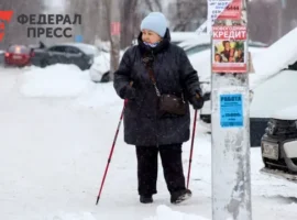 Ольга Епифанова сообщила о досрочной выплате январских пенсий olga epifanova soobshhila o dosrochnoj vyplate yanvarskih pensij-tstpp-ru-0