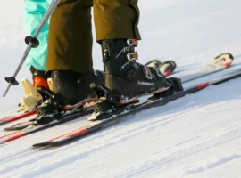 FIS открыла путь фристайлисту Андрееву и другим россиянам при поддержке CAS otkryla put fristajlistu andreevu i drugim rossiyanam pri podderzhke -tstpp-ru-0