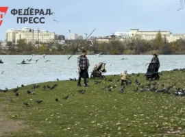 Почему Краснодар и Кубань продолжают удивлять своими переменами pochemu krasnodar i kuban prodolzhayut udivlyat svoimi peremenami-tstpp-ru-0