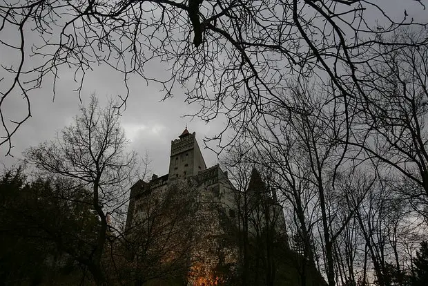 Вводная картинка