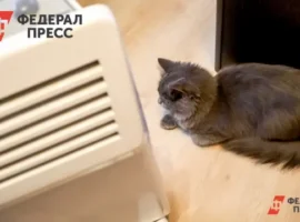 Примтеплоэнерго восстанавливает теплотрассу в Находке и возвращает тепло primteploenergo vosstanavlivaet teplotrassu v nahodke i vozvrashhaet teplo-tstpp-ru-0