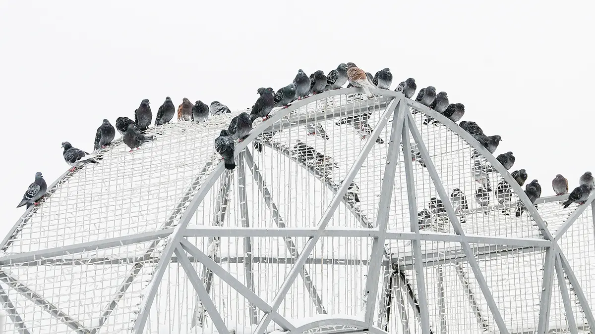 Погода в Москве 10 декабря 2025 года