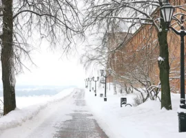 Прогноз погоды от Александра Шувалова и экспертов на Новый год в Нижнем Новгороде prognoz pogody ot aleksandra shuvalova i ekspertov na novyj god v nizhnem novgorode-tstpp-ru-0