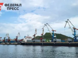 Росприроднадзор требует от Находкинского морского порта компенсацию за охрану природы Приморья rosprirodnadzor trebuet ot nahodkinskogo morskogo porta kompensacziyu za ohranu prirody primorya-tstpp-ru-0