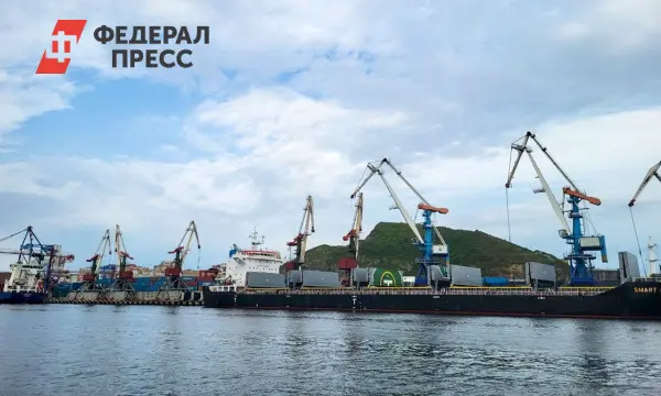 Росприроднадзор требует от Находкинского морского порта компенсацию за охрану природы Приморья-0