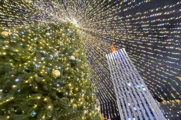 В Архангельске установлена 17-метровая новогодняя ель с Вифлеемской звездой на вершине. Ее украшают 700 золотых и серебряных шаров, а также окруженный гирляндами световой шатер.