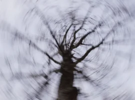 spasateli na snegohodah ishhut turistov v permskom krae u bolshoj oslyanki-tstpp-ru-0