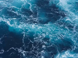 В Бретани обнаружили уникальные древние рыболовные запруды и каменную стену v bretani obnaruzhili unikalnye drevnie rybolovnye zaprudy i kamennuyu stenu-tstpp-ru-0