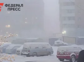 В Челябинске ожидаются морозы и потепление согласно прогнозам синоптиков v chelyabinske ozhidayutsya morozy i poteplenie soglasno prognozam sinoptikov-tstpp-ru-0