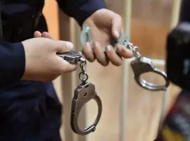 В Санкт-Петербурге Следственный комитет изучает инцидент с охранницей v sanktpeterburge sledstvennyj komitet izuchaet inczident s ohranniczej-tstpp-ru-0