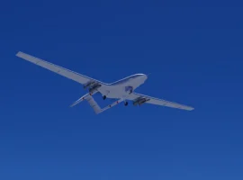 В Запорожской области погиб лев, атакованный дронами ВСУ в зоопарке v zaporozhskoj oblasti pogib lev atakovannyj dronami vsu v zooparke-tstpp-ru-0