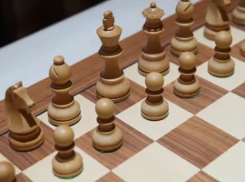 Валентина Гунина получила поддержку от Международной шахматной федерации на ЧМ valentina gunina poluchila podderzhku ot mezhdunarodnoj shahmatnoj federaczii na chm-tstpp-ru-0