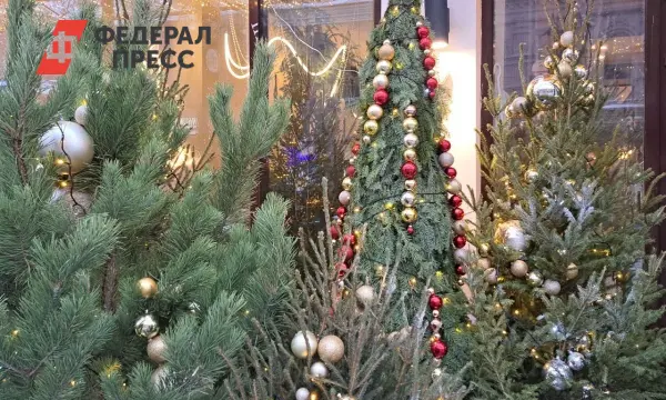 Владивосток запускает продажу новогодних елок ко всем праздникам-0