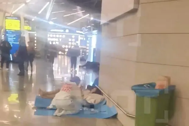 Вводная картинка