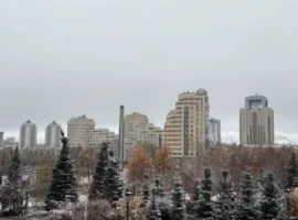 ВОЗ и эксперты ИПЭ УрО РАН дают рекомендации по радону в новостройках Екатеринбурга voz i eksperty ipe uro ran dayut rekomendaczii po radonu v novostrojkah ekaterinburga-tstpp-ru-0