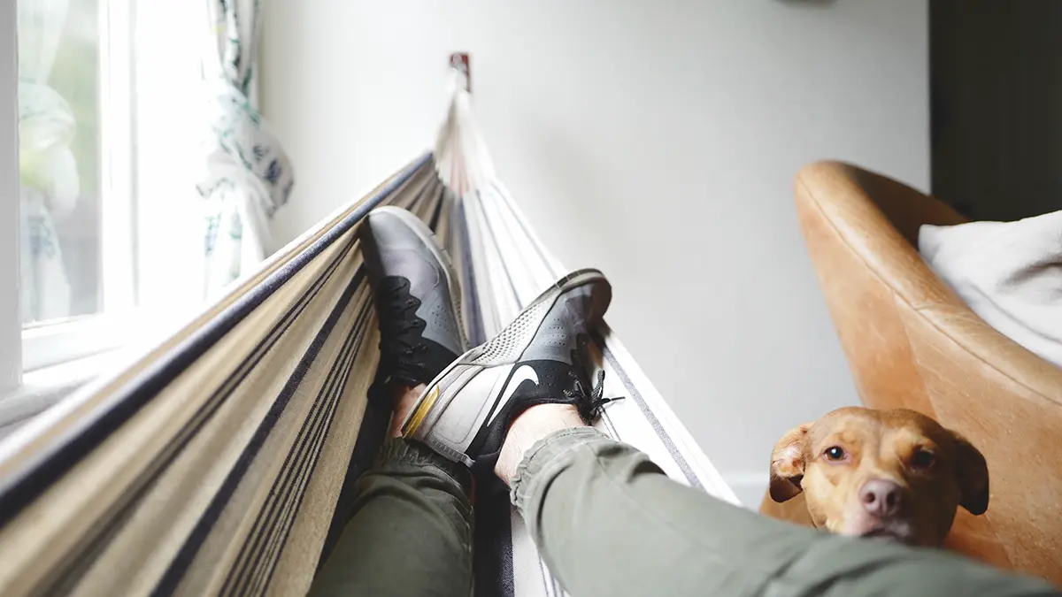 Праздники 29 января 2026 года