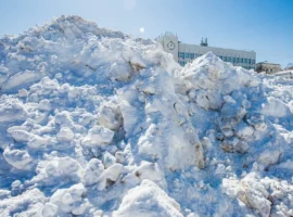 Елена Кузнецова рассказала о надежном вывозе мусора во Владивостоке elena kuzneczova rasskazala o nadezhnom vyvoze musora vo vladivostoke-tstpp-ru-0