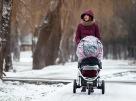 Госдума увеличила маткапитал и выплаты, заявила Светлана Бессараб gosduma uvelichila matkapital i vyplaty zayavila svetlana bessarab-tstpp-ru-0