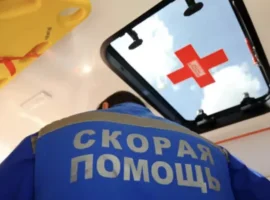 Хинштейн сообщил, что беспилотник атаковал Курскую область-двое контужены hinshtejn soobshhil chto bespilotnik atakoval kurskuyu oblastdvoe kontuzheny-tstpp-ru-0