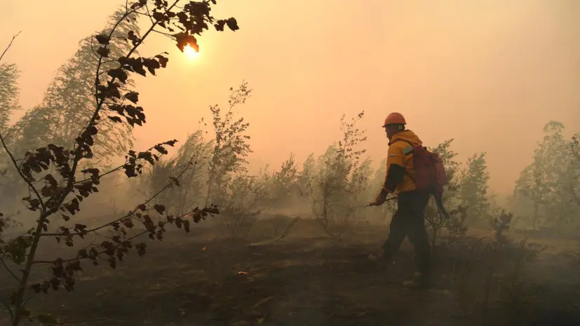 Глава Рослесхоза Советников рассказал о подготовке к пожароопасному сезону