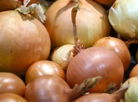 Куриный бог, Василиск и гадания в традициях и обычаях на Сильвестра I kurinyj bog vasilisk i gadaniya v tradicziyah i obychayah na silvestra -tstpp-ru-0