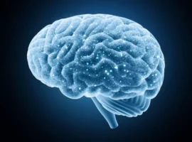 Наука фокусируется на нейтронах и гиппокампе благодаря МФТИ и Курчатовскому институту nauka fokusiruetsya na nejtronah i gippokampe blagodarya mfti i kurchatovskomu institutu-tstpp-ru-0