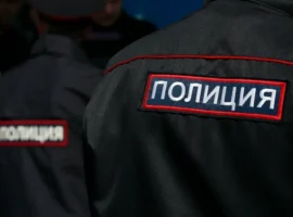 Полиция Приморья обезвредила организованную группу по продаже японских авто в Находке policziya primorya obezvredila organizovannuyu gruppu po prodazhe yaponskih avto v nahodke-tstpp-ru-0