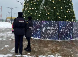 primorskaya policziya izyala 737 litrov alkogolya za novogodnie rejdy-tstpp-ru-0