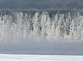 ПримПоиск: ключевая версия исчезновения Усольцевых в Красноярском крае primpoisk klyuchevaya versiya ischeznoveniya usolczevyh v krasnoyarskom krae-tstpp-ru-0