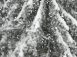 Прогностический центр «Метео» и центр погоды «Фобос» предсказывают морозы в Москве до минус 22 градусов prognosticheskij czentr meteo i czentr pogody fobos predskazyvayut morozy v moskve do minus 22 gradusov-tstpp-ru-0