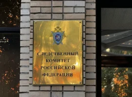 СК по Москве предъявил обвинение Александре по делу о гибели ребенка sk po moskve predyavil obvinenie aleksandre po delu o gibeli rebenka-tstpp-ru-0